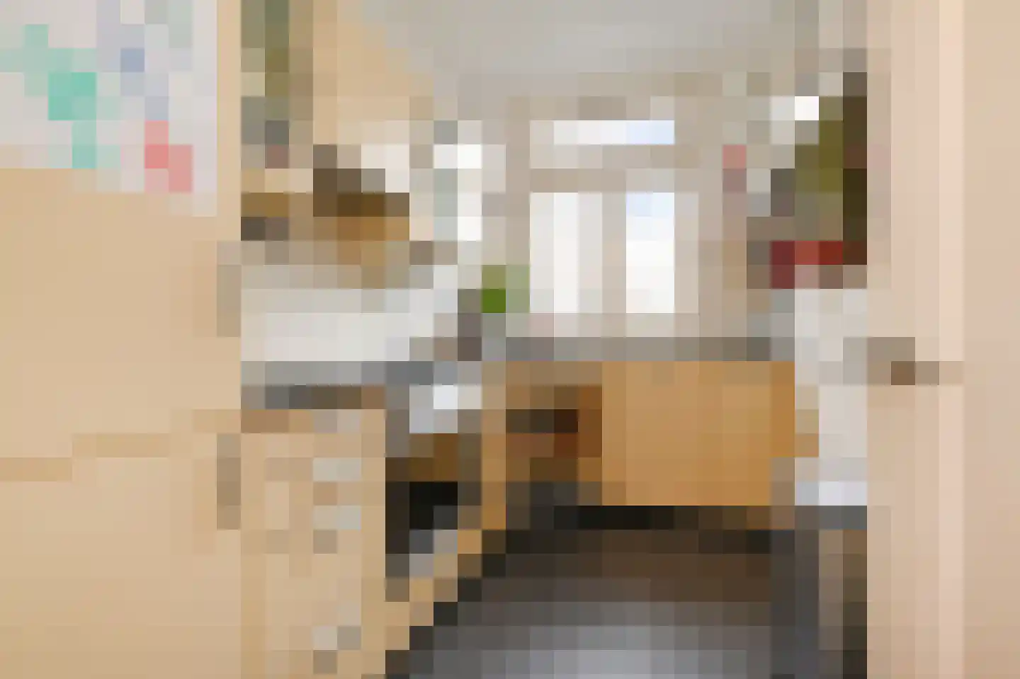 Jacob Catsstraat 142 Voorburg thumbnail 8