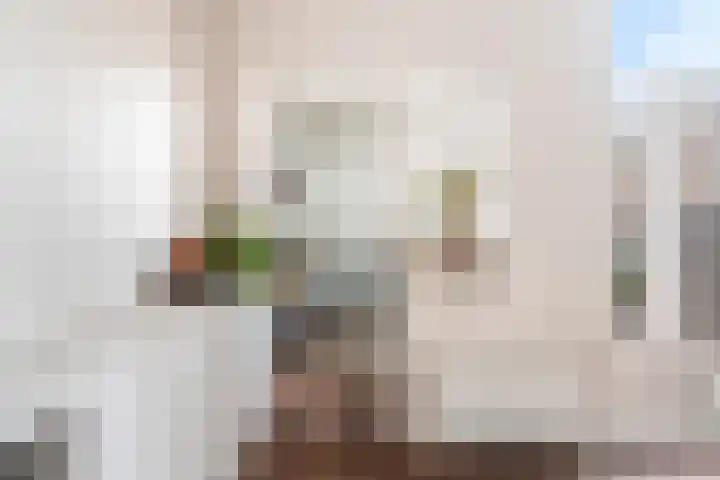 Jacob Catsstraat 15 Dordrecht thumbnail 16