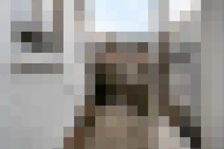 Jacob Catsstraat 15 Dordrecht thumbnail 42