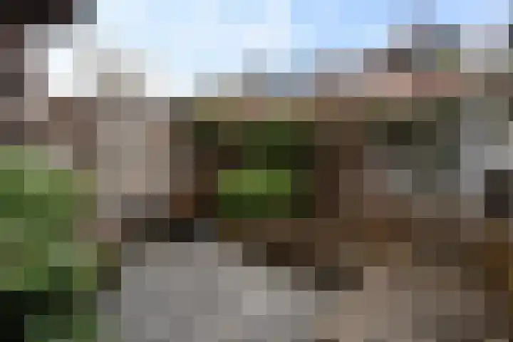 Jacob Catsstraat 15 Dordrecht thumbnail 43