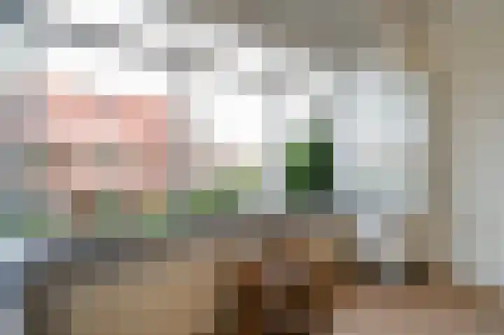 Jacob Catsstraat 157 Voorburg thumbnail 19