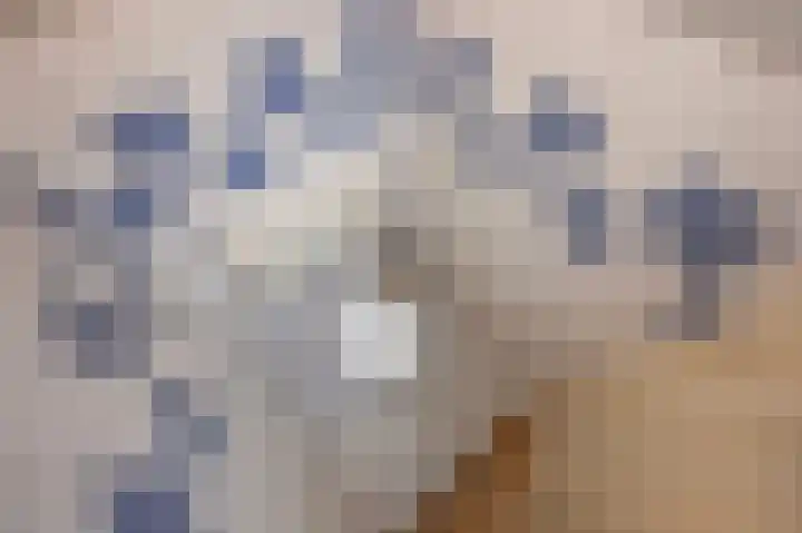 Jacob Catsstraat 157 Voorburg thumbnail 30