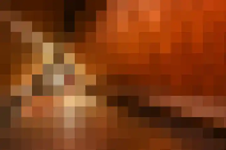 Jacob Catsstraat 157 Voorburg thumbnail 35