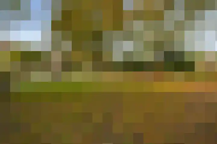 Jacob Catsstraat 157 Voorburg thumbnail 36