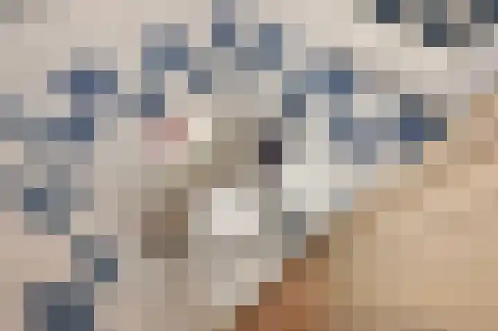 Jacob Catsstraat 157 Voorburg thumbnail 6