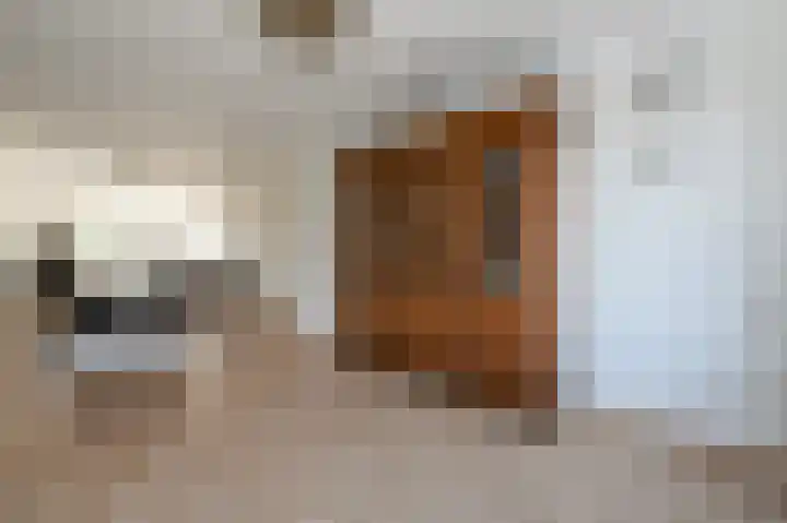 Jacob Catsstraat 157 Voorburg thumbnail 7