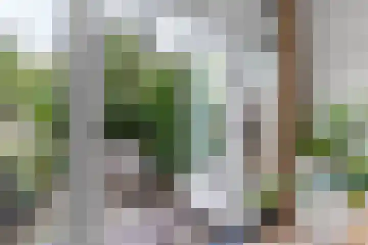 Jacob Catsstraat 159 Voorburg thumbnail 13
