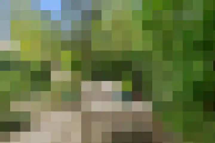 Jacob Catsstraat 159 Voorburg thumbnail 14