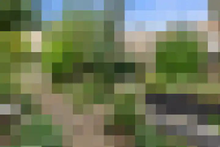 Jacob Catsstraat 159 Voorburg thumbnail 15