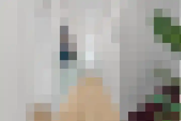 Jacob Catsstraat 159 Voorburg thumbnail 22