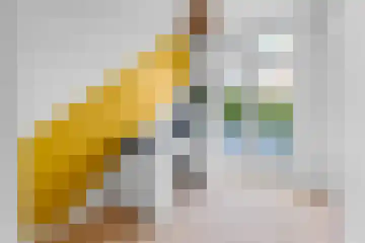 Jacob Catsstraat 159 Voorburg thumbnail 25
