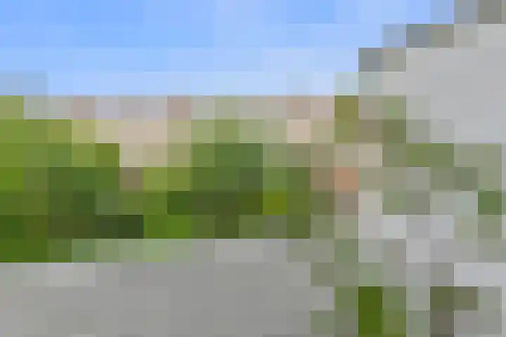 Jacob Catsstraat 159 Voorburg thumbnail 28