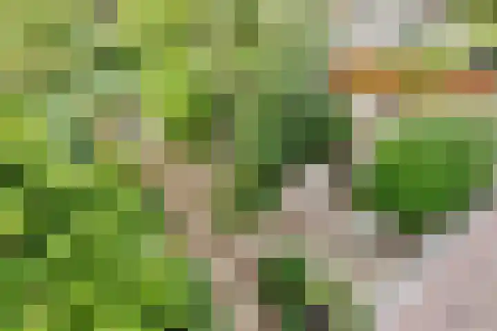 Jacob Catsstraat 159 Voorburg thumbnail 29