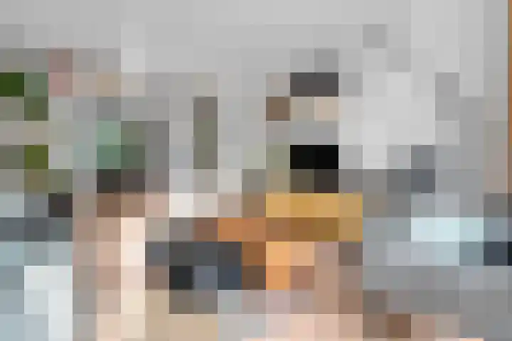 Jacob Catsstraat 159 Voorburg thumbnail 4