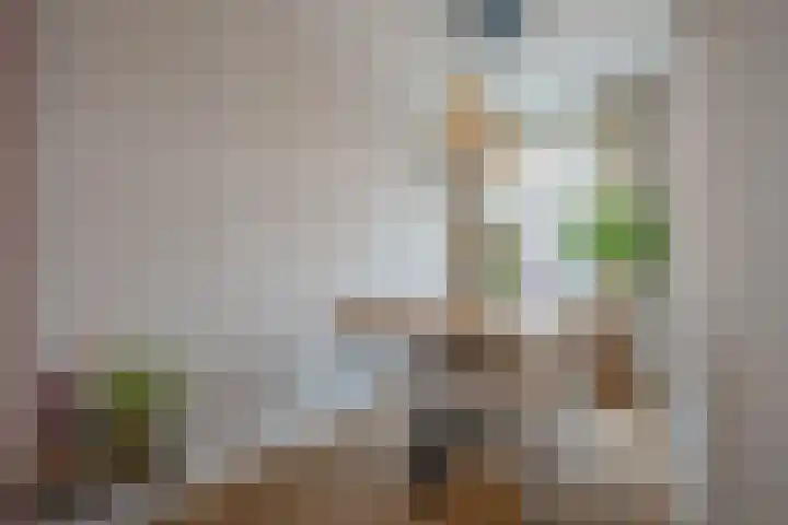 Jacob Catsstraat 16 Delft thumbnail 13