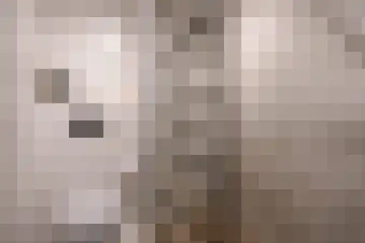 Jacob Catsstraat 16 Delft thumbnail 6