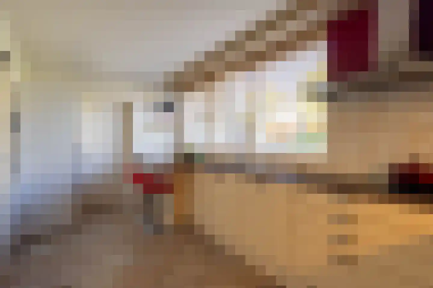 Jacob Catsstraat 16 Harlingen thumbnail 13