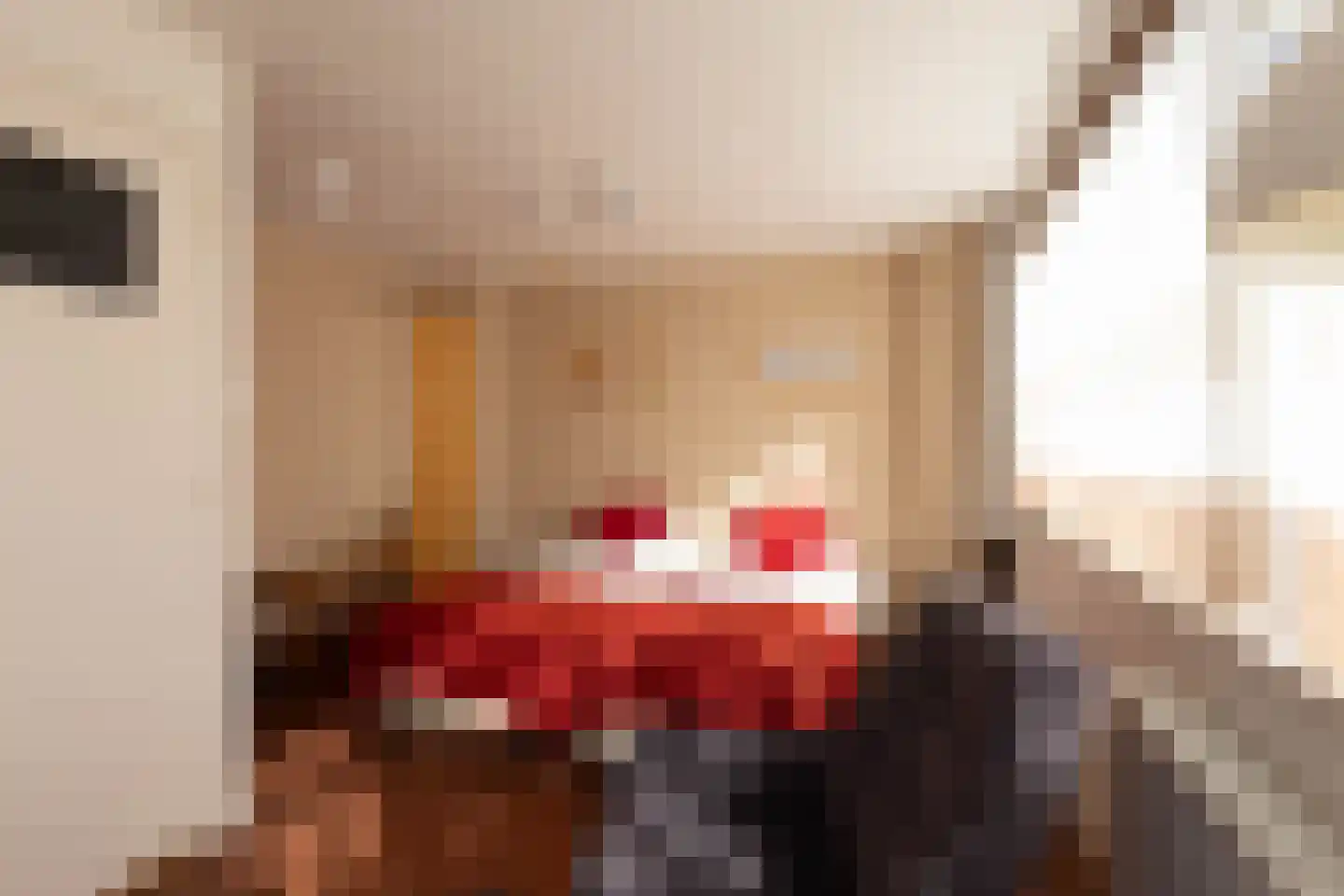 Jacob Catsstraat 16 Harlingen thumbnail 30