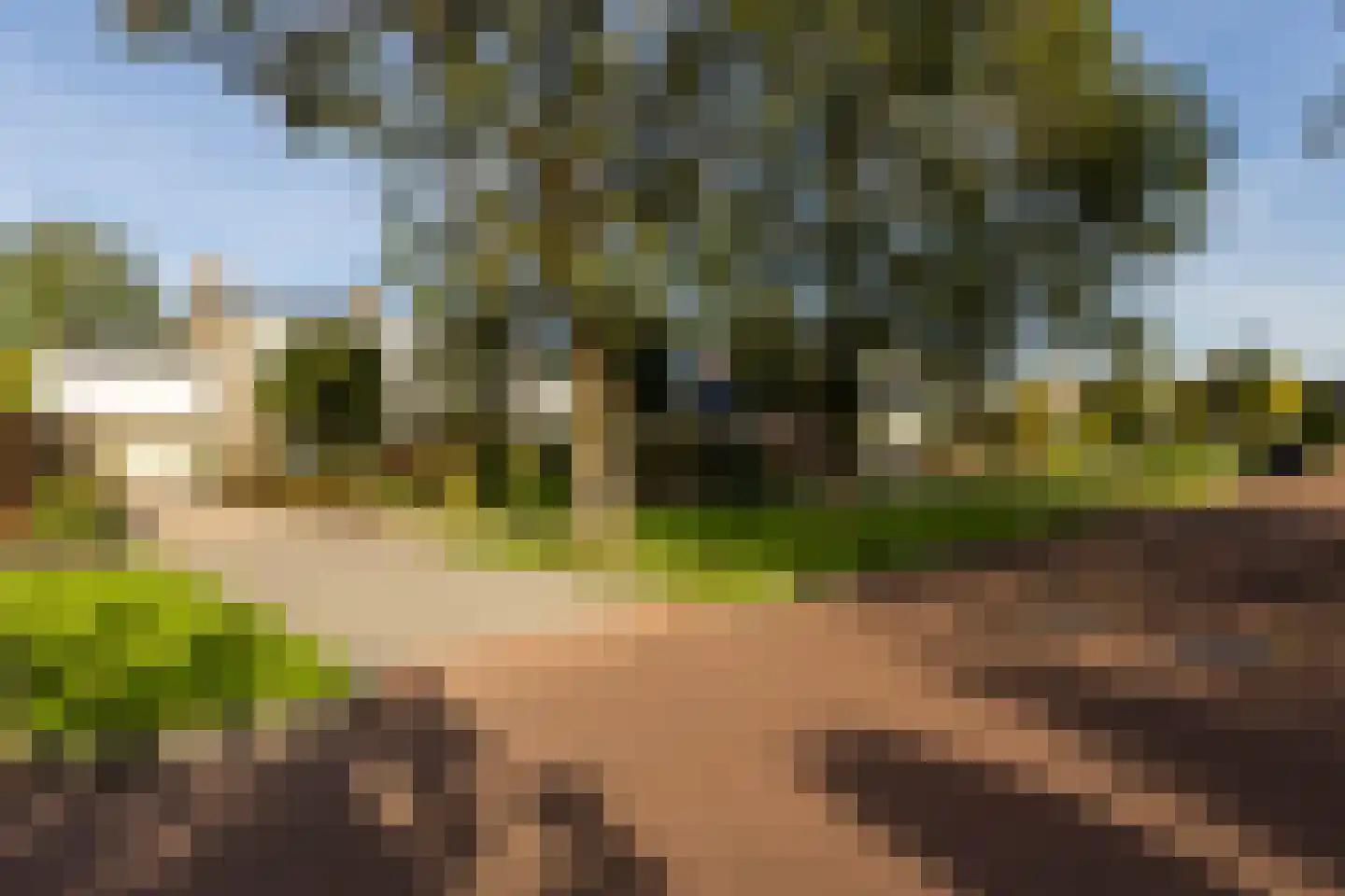 Jacob Catsstraat 16 Harlingen thumbnail 7