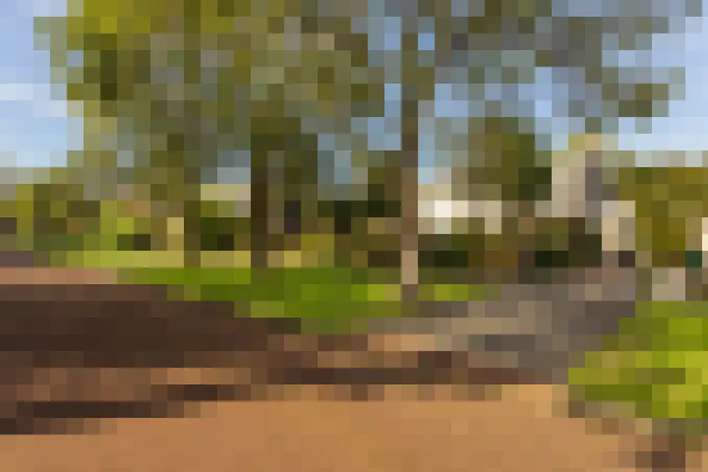 Jacob Catsstraat 16 Harlingen thumbnail 8