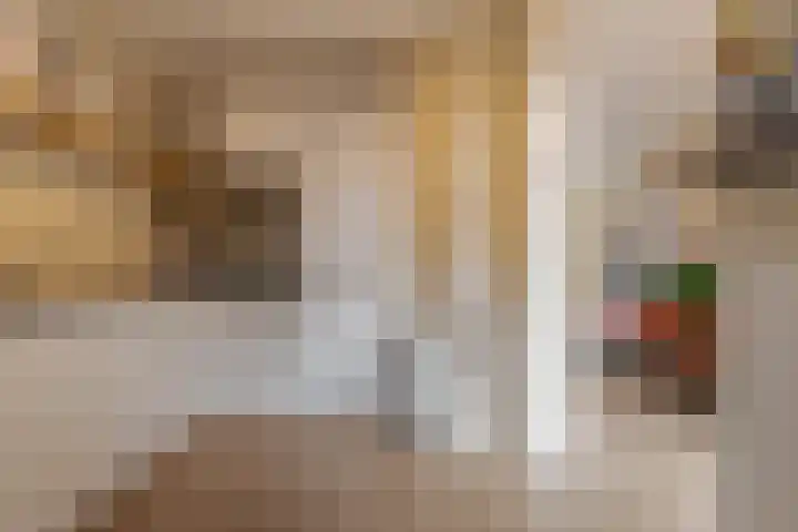 Jacob Catsstraat 16 Zwolle thumbnail 20