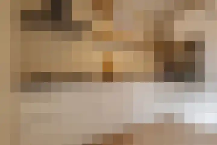 Jacob Catsstraat 16 Zwolle thumbnail 21