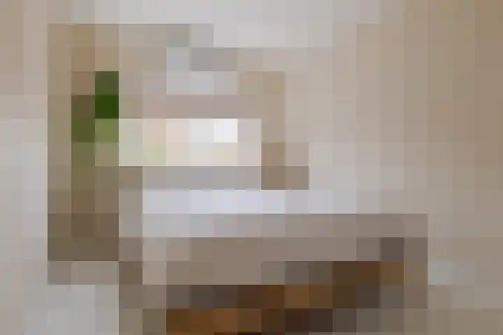 Jacob Catsstraat 16 Zwolle thumbnail 27