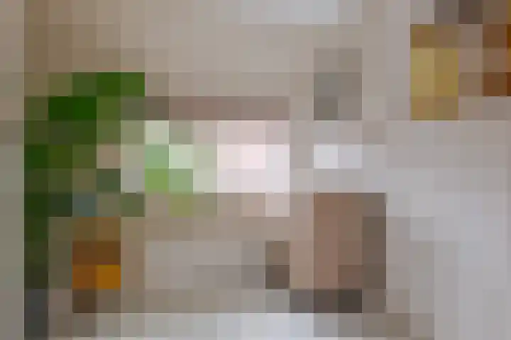 Jacob Catsstraat 16 Zwolle thumbnail 32