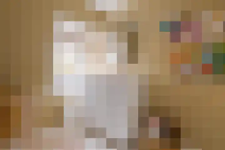 Jacob Catsstraat 16 Zwolle thumbnail 34