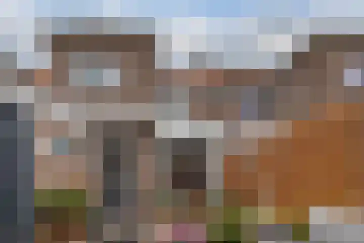 Jacob Catsstraat 16 Zwolle thumbnail 38