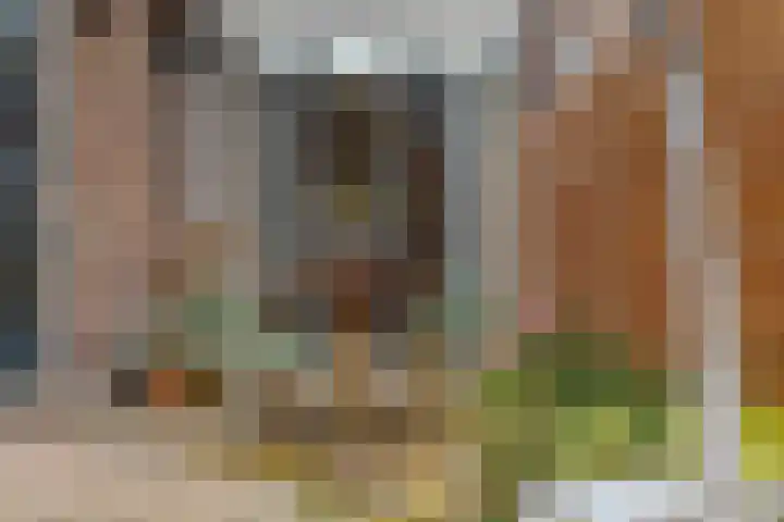 Jacob Catsstraat 16 Zwolle thumbnail 39