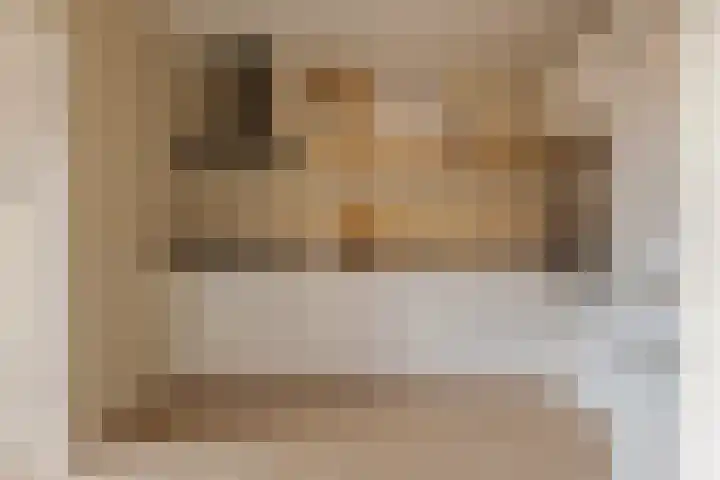 Jacob Catsstraat 16 Zwolle thumbnail 4