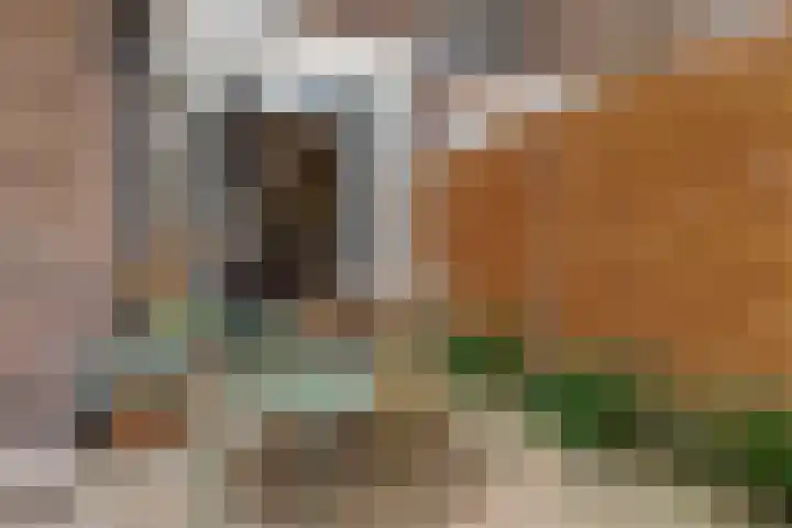 Jacob Catsstraat 16 Zwolle thumbnail 41