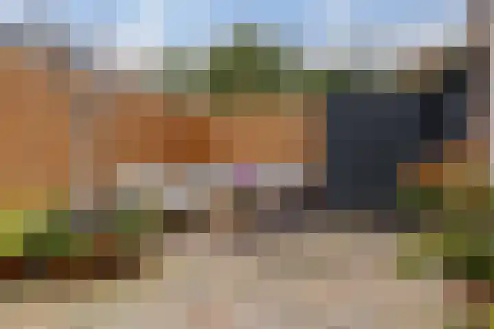 Jacob Catsstraat 16 Zwolle thumbnail 42
