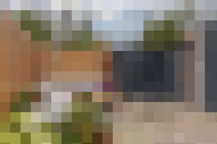 Jacob Catsstraat 16 Zwolle thumbnail 43