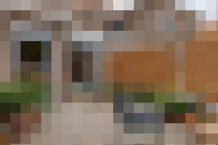 Jacob Catsstraat 16 Zwolle thumbnail 45