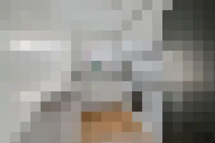 Jacob Catsstraat 165 Voorburg thumbnail 10