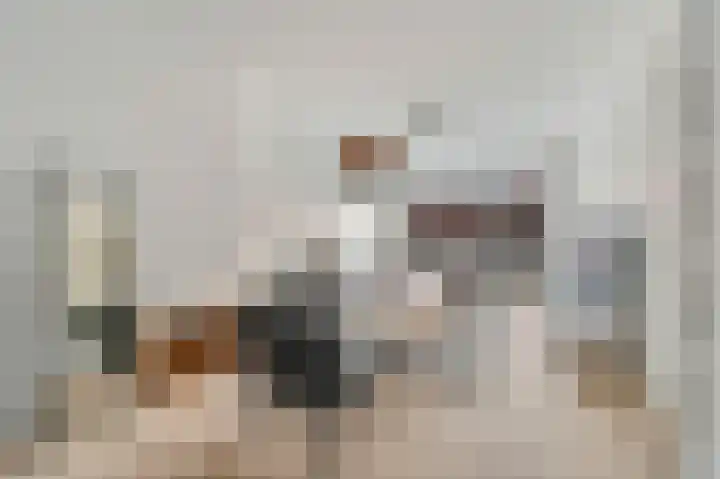 Jacob Catsstraat 165 Voorburg thumbnail 13