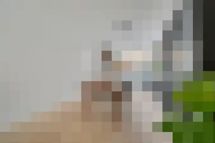 Jacob Catsstraat 165 Voorburg thumbnail 17