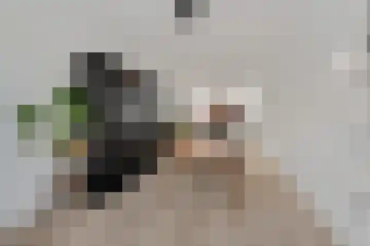 Jacob Catsstraat 165 Voorburg thumbnail 18