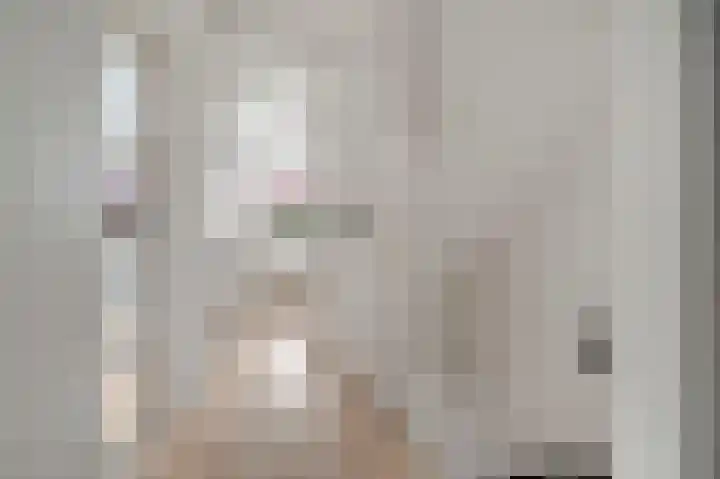 Jacob Catsstraat 165 Voorburg thumbnail 8
