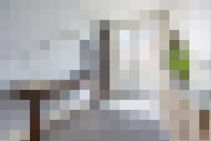 Jacob Catsstraat 167 Voorburg thumbnail 22