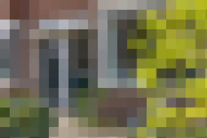 Jacob Catsstraat 167 Voorburg thumbnail 32