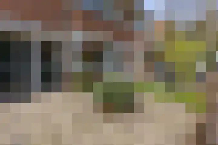 Jacob Catsstraat 167 Voorburg thumbnail 33