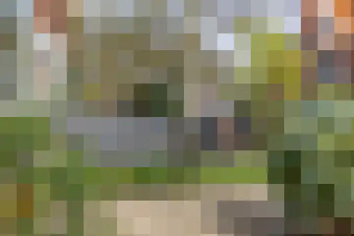 Jacob Catsstraat 167 Voorburg thumbnail 35