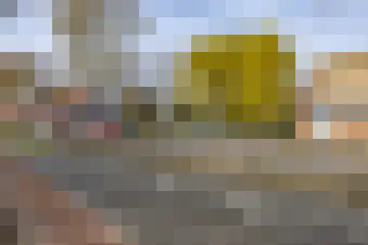 Jacob Catsstraat 167 Voorburg thumbnail 38