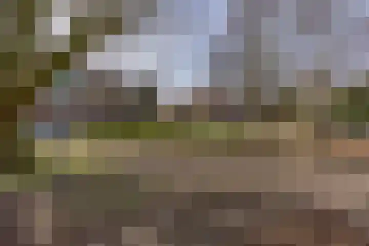 Jacob Catsstraat 167 Voorburg thumbnail 39