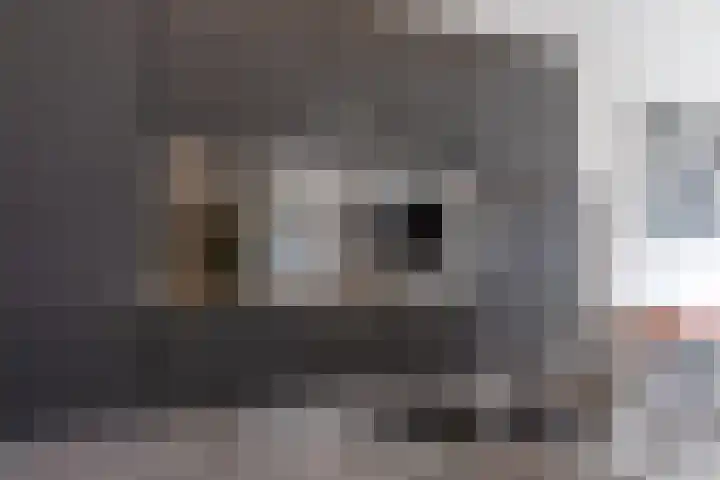 Jacob Catsstraat 167 Voorburg thumbnail 8