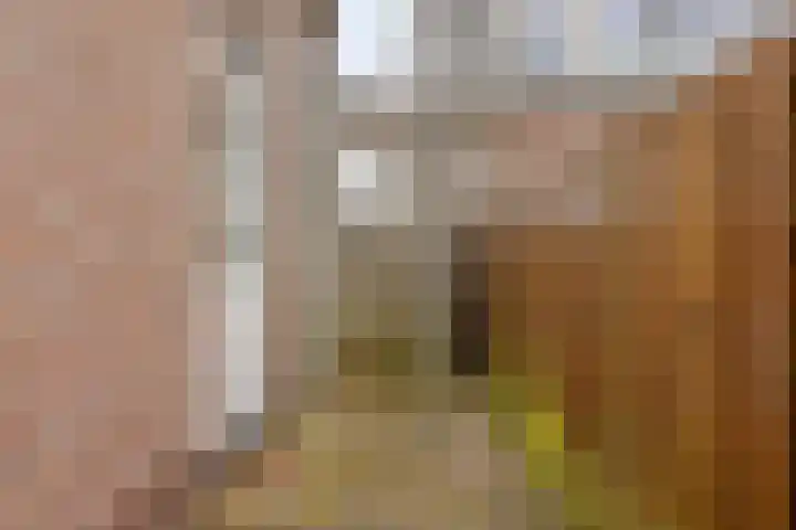 Jacob Catsstraat 17 Middelburg thumbnail 23
