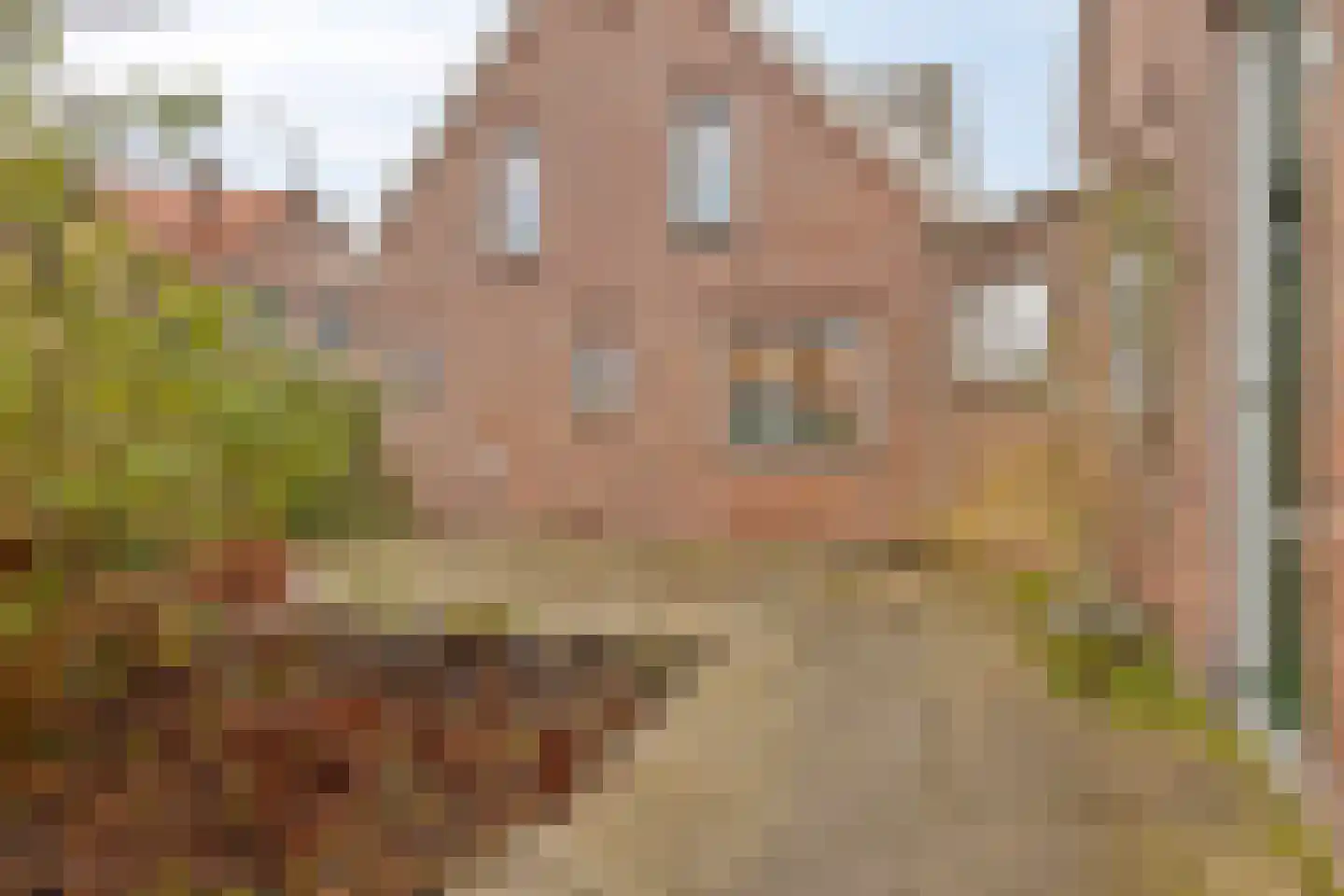 Jacob Catsstraat 17 Middelburg thumbnail 25